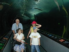 In the aquarium