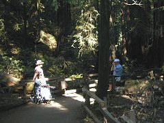 Muir Woods