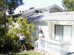 The deck and back garden - picking lemons