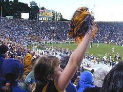 Alice waves her pom-pom - "Go Bears!"