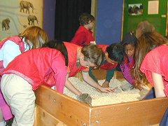 Henry and fellow archeologists excavating mammoth bones