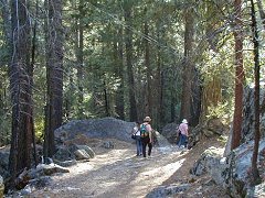 Down the rock trail