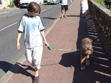 Henry gets a dog at last - George is on loan