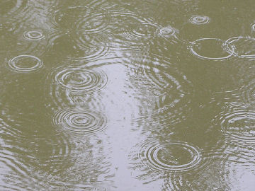 Ripples on the river