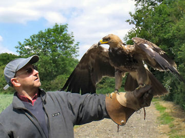 Andrew faces an Eagle