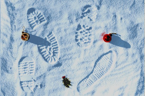 'Footprints in the snow'